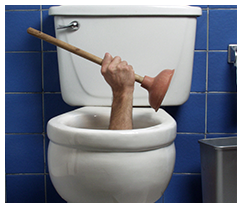 A person working on a blocked toilet repair on the Gold Coast